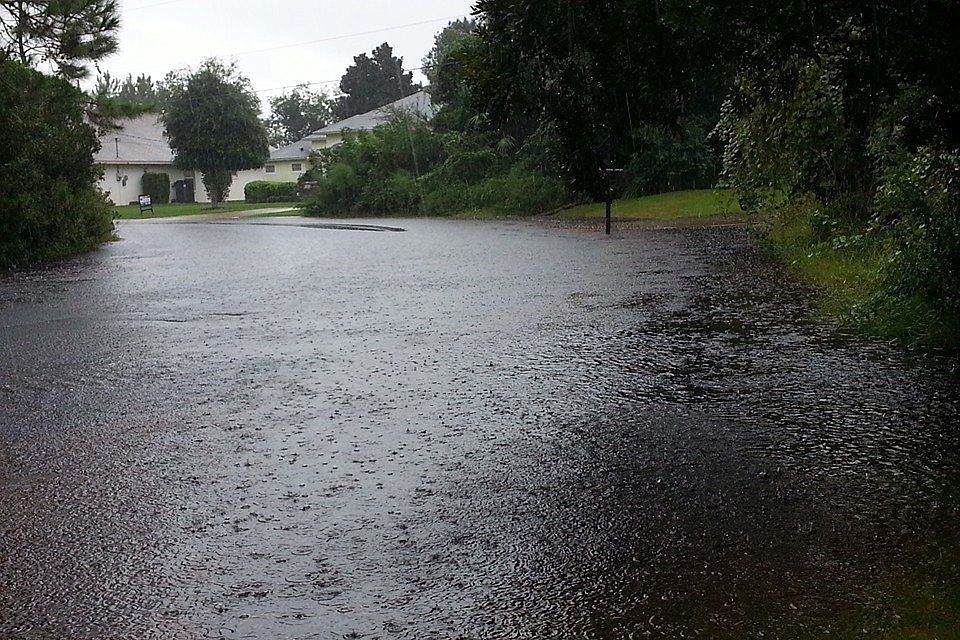Flooding in Palm Coast's F-section. Photo by Dawn Zito.