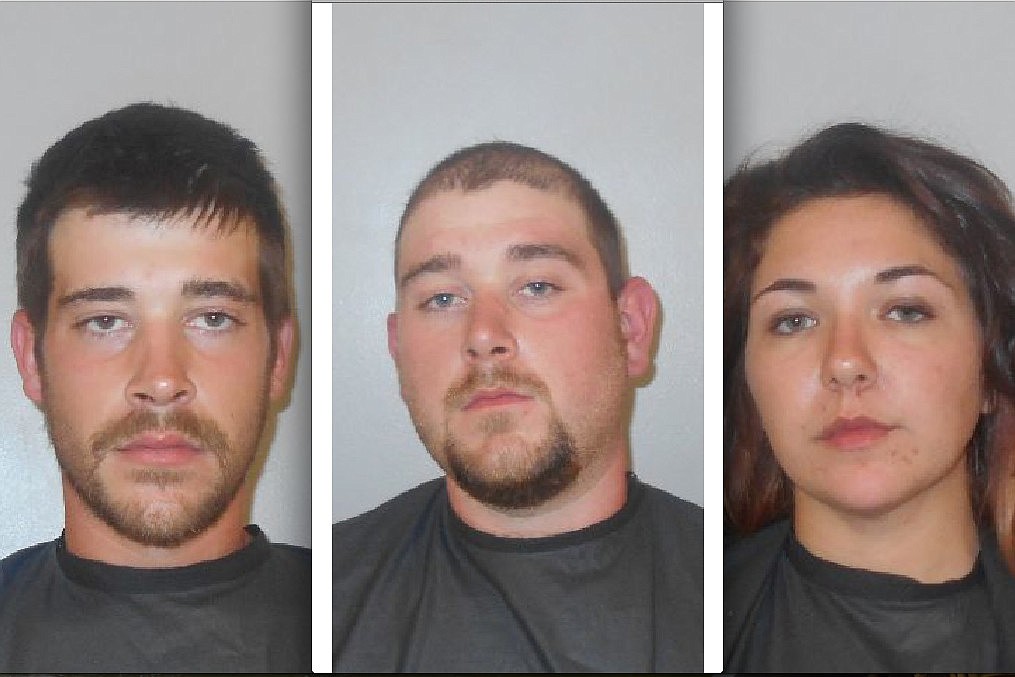 Zachary Parsley, Tyler Parsley and Samantha Smith were arrested in connection with a road rage incident Nov. 9.