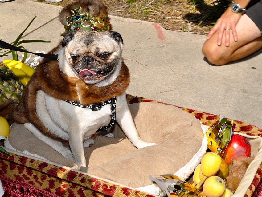 King Toby reigned over the parade with his wagon of fruit.