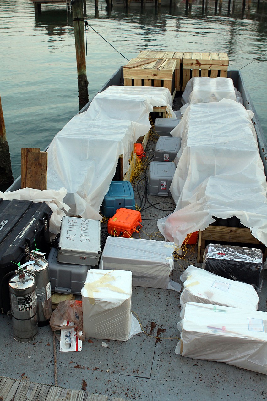 The small barge held over 1,000 fireworks - enough for a firework display lasting about 10 minutes.