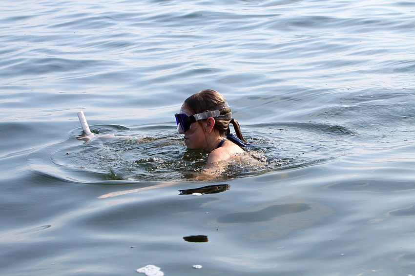 Anna Jones uses the white measuring pole to make sure she is checking the entire area she and her sister were assigned to cover.