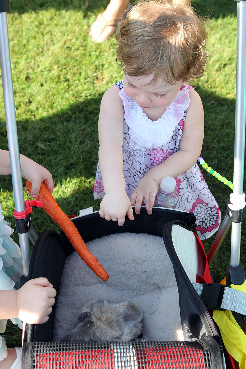 Mia Repenning points at Cuddles, the bunny, after collecting Easter eggs Sunday, April 24 at Longboat Key Club.
