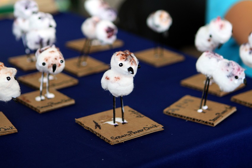 Kids were able to make their very own Snowy Plover chicks as one of the many crafts at World Ocean Day Family Festival Sunday, June 5 at Mote Aquarium.