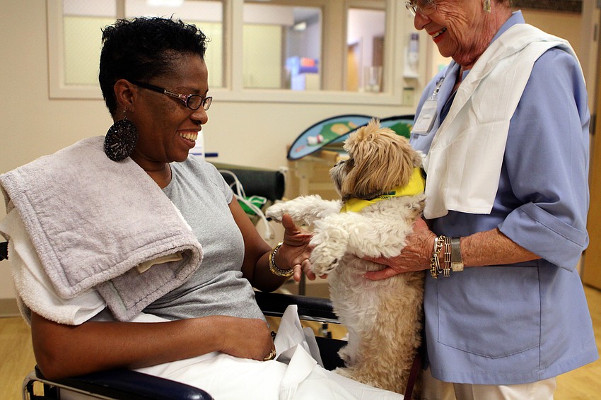 Debra Harvey laughs and shakes Parker's paw before the therapy dogs leave the Comprehensive Rehabilitation Unit Thursday, May 19 at Sarasota Memorial Hospital.