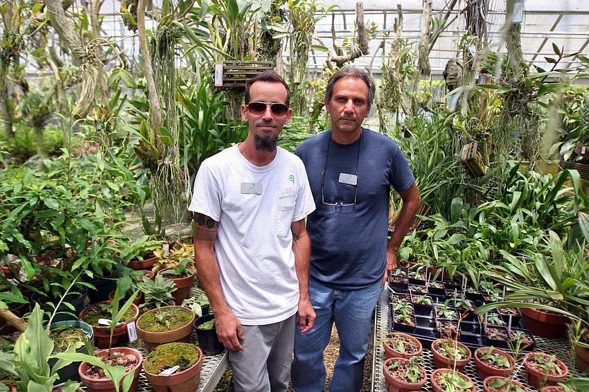Angel Lara, greenhouse manager, and Dr. A. Toscano de Brito, research biologist, are known as being the 