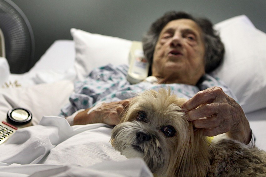 Yolanda Vodila enjoys Parkerâ€™s company while she rests in her room Thursday, May 19 in the Comprehensive Rehabilitation Unit. Vodila has five dogs of her own at home and talked about how eager she was to get back to all of them.