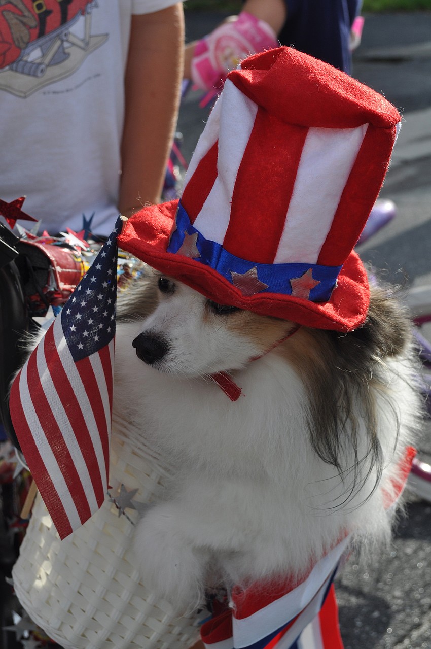 Max rides through the parade in a basket.
