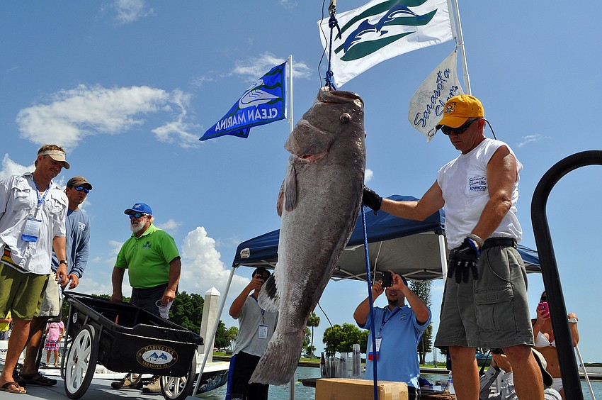 The Warsaw grouper brought in by team Bragginâ€™ Rites broke a tournament record by weighing in at 181.85 lbs.