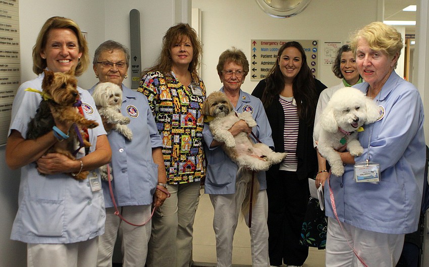 Barbara Bartlett with Kirby, Gert Miller with Alie, Angie Pollack, Macie McGee with Parker, Emily Corwin, Elizabeth Bornstein and Mary Ellen Ryan with Finnegan. (Not pictured: Vivian Birkner and Ginger)