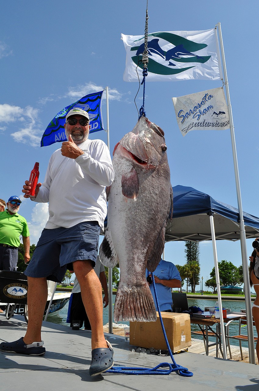 Michael Watts, the fisherman who caught the Warsaw grouper, gives the thumbs up as he gets up on stage to pose with his catch Saturday, August 6 during the Sarasota Slam weigh-in at Marina Jackâ€™s.