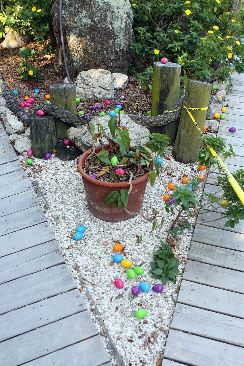 Tons of Easter eggs were put out for both Easter egg hunts. One was for the younger children and toddlers while the second egg hunt was for the older kids.
