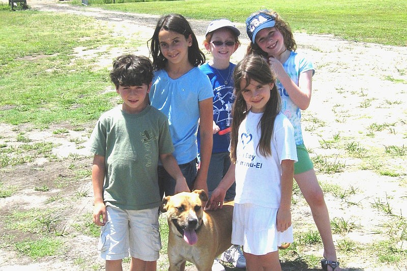Clockwise from bottom left are: Ben Schreibman, Alana Schreibman, Rebecca Kleinberg, Emma Katz and Eden Glickman.