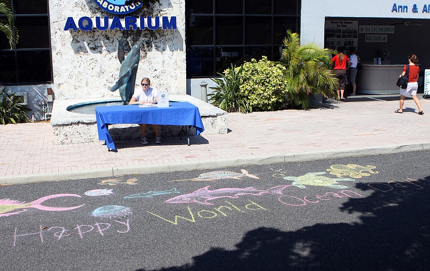 Some chalk art was done outside of Mote as part of Mote's World Ocean Day Family Festival, Sunday, June 5 at Mote Aquarium.