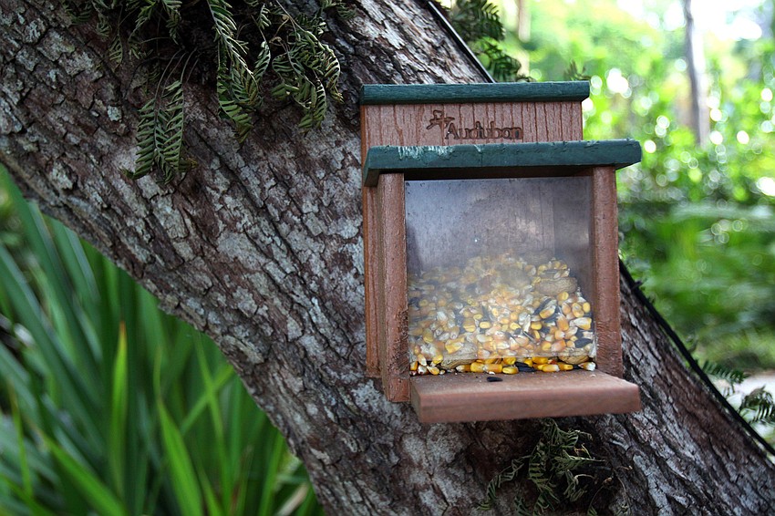 Bird feeder