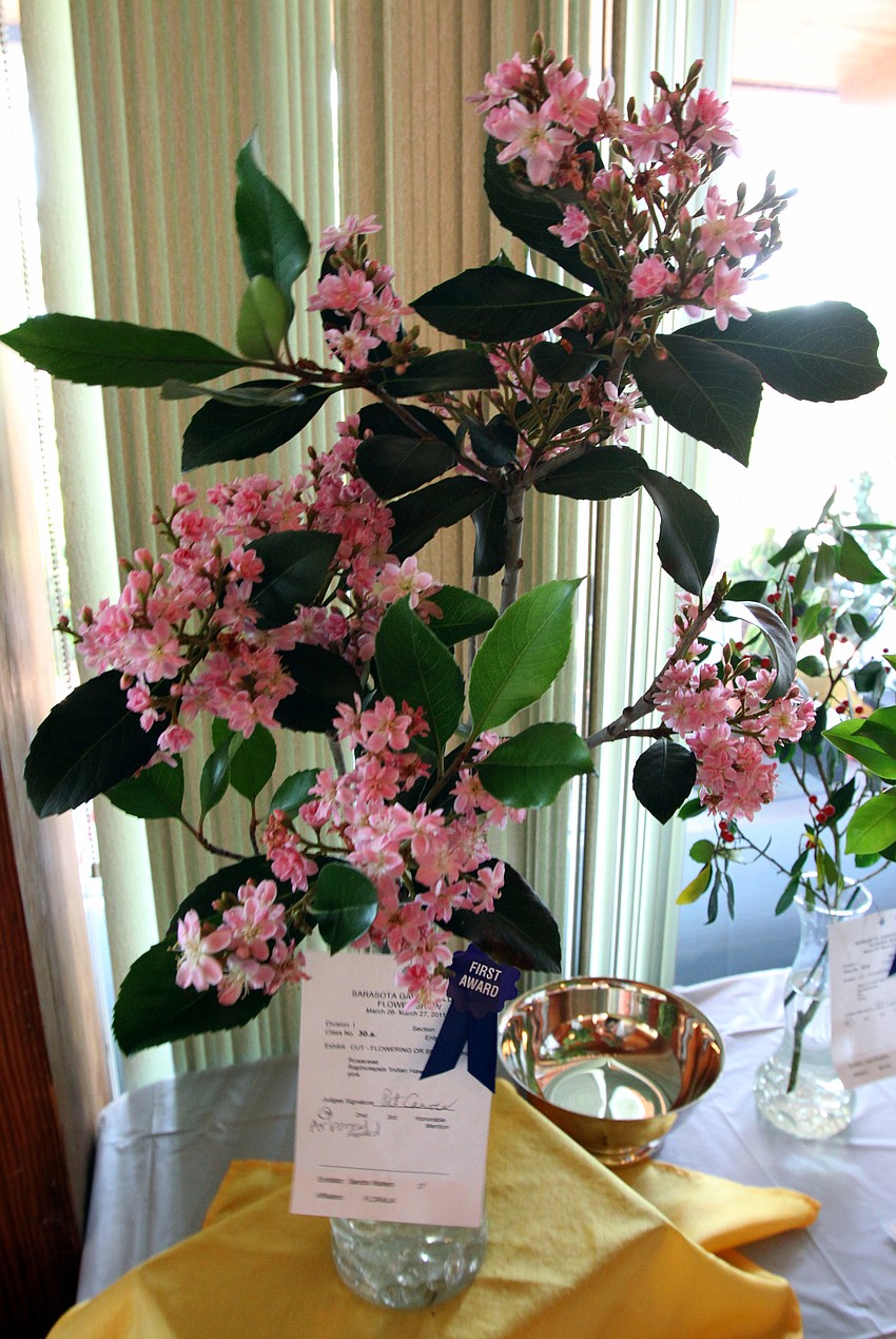 Sandra Walters' pink 