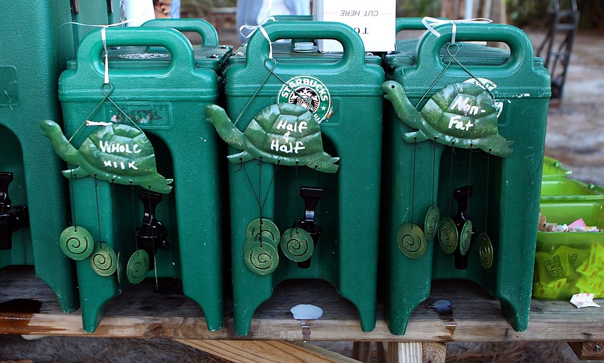 Starbucks labeled their milk selections with turtles on Saturday, April 2 during the 25th Annual Run for the Turtles on Siesta Key Beach.