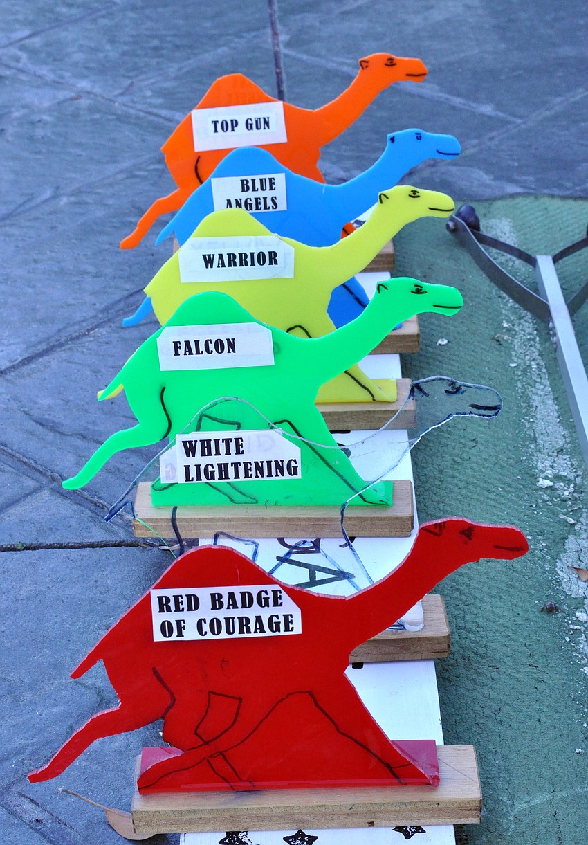 Each branch of the military had its own specific camel.