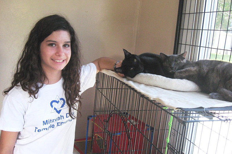 Temple Emanu-El volunteer Samantha London makes two new friends at Honor Animal Sanctuary.