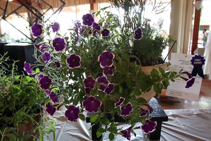 Olivia Haynes won first place in Combination Planting on Sunday, March 27 during the 74th Annual Sarasota Garden Club Flower Show.