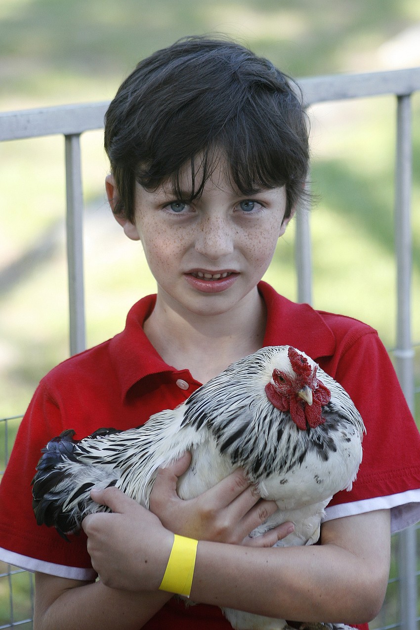 Grayson Haupt, 6, loved holding the animals in the petting zoo.