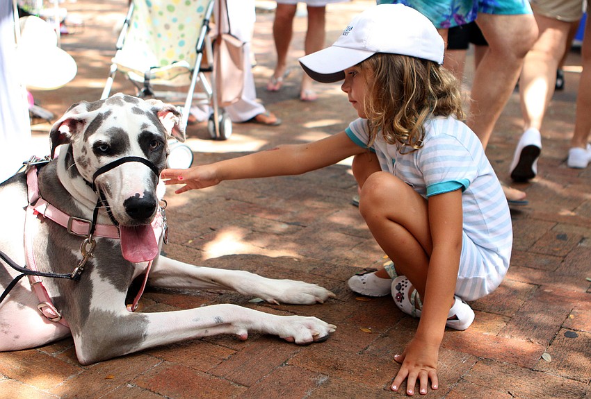 Sophia Miller, 5, gives Misty some attention while at the Craft Festival with her mom Sunday, May 22 along Main Street and in Five Points Park.