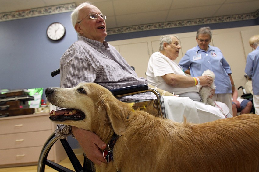 Charles Sholtis scratches Gingerâ€™s neck while he talks to Gingerâ€™s mom, Vivian Birkner, in the recreational room on the Comprehensive Rehabilitation floor at Sarasota Memorial Hospital.