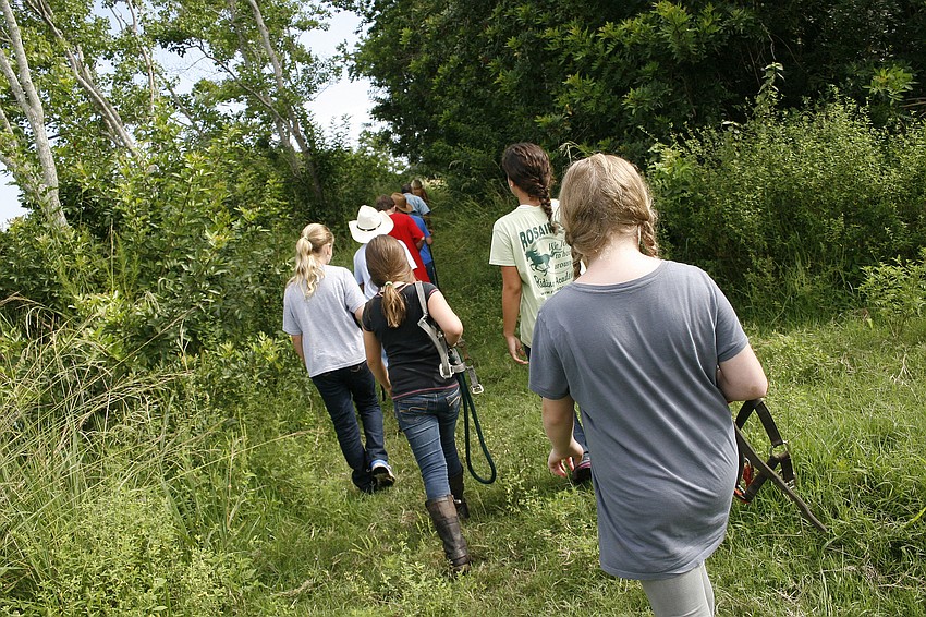 Students walk to the pasture to retrieve their riding partners for the day.