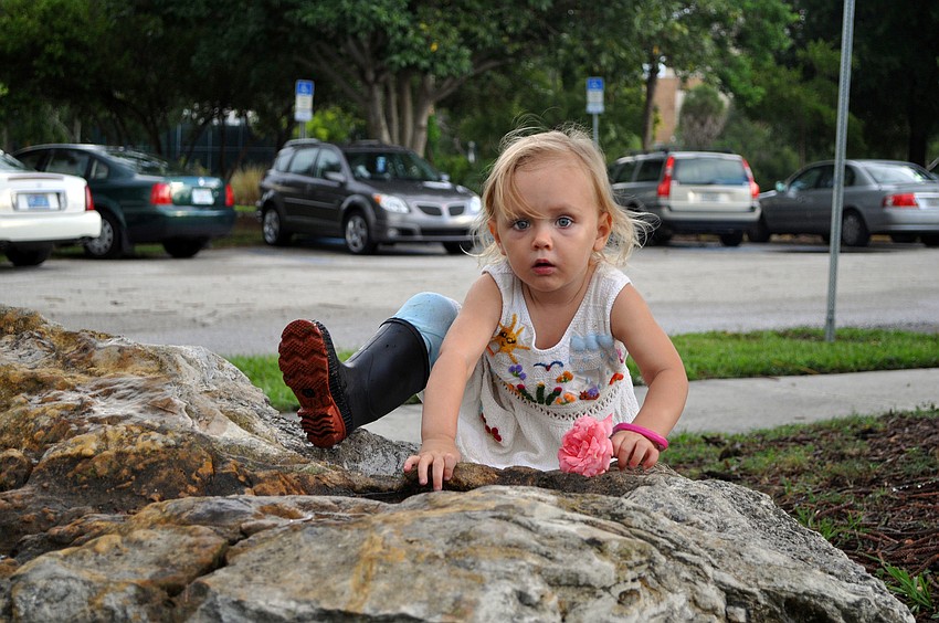 Selby Kirschner, 2, tries to climb onto a rock with the flower she picked Thursday, July 28 at Payne Park.