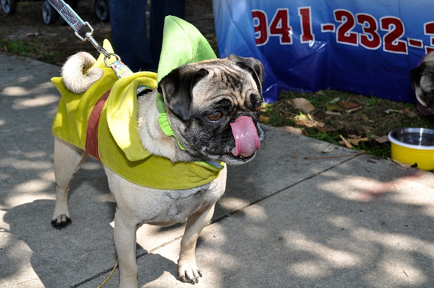 Oakley wears a Robin Hood costume.