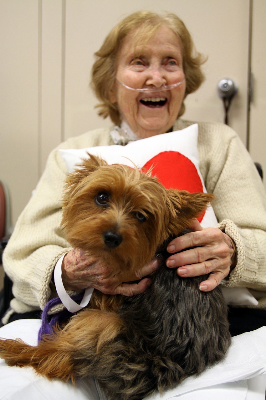 Virginia Sanders enjoys having Kirby sit on her lap and cuddle up to her on her heart pillow while she visits the recreational room on the Comprehensive Rehabilitation floor Thursday, May 12 at Sarasota Memorial Hospital.