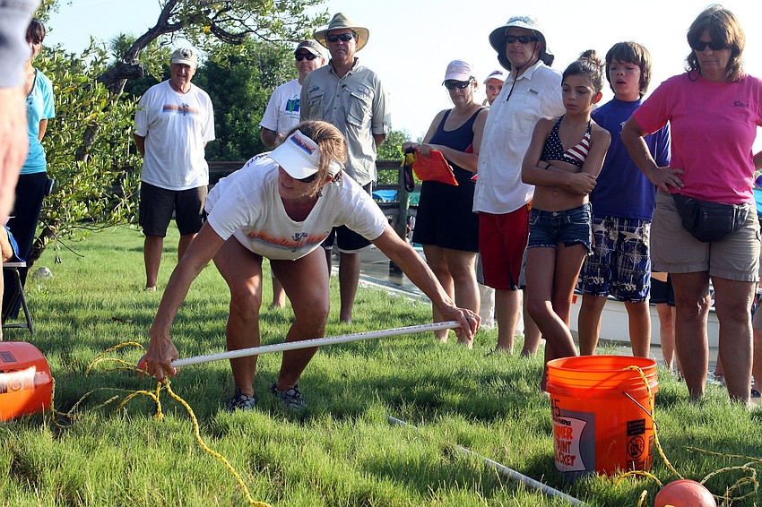 Ronda Ryan shows how to properly search for scallops Saturday, August 13 during the 4th Annual Sarasota Bay Great Scallop Search.