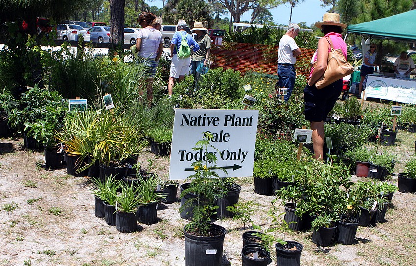 People look into buying some plants for their gardens during the Earth Day Celebration on Sunday, April 17 out at Oscar Scherer State Park in Osprey.