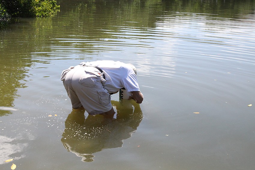 Bob Clousson looks at some seagrass through his Aqua-Scope Saturday, July 30 out in the water by the Turtle Beach Community Center