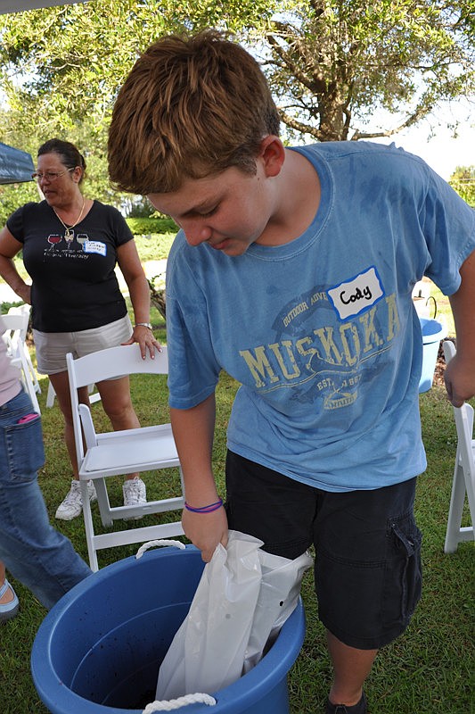 Cody Longhitano, 12, chose to stomp grapes one foot at a time.