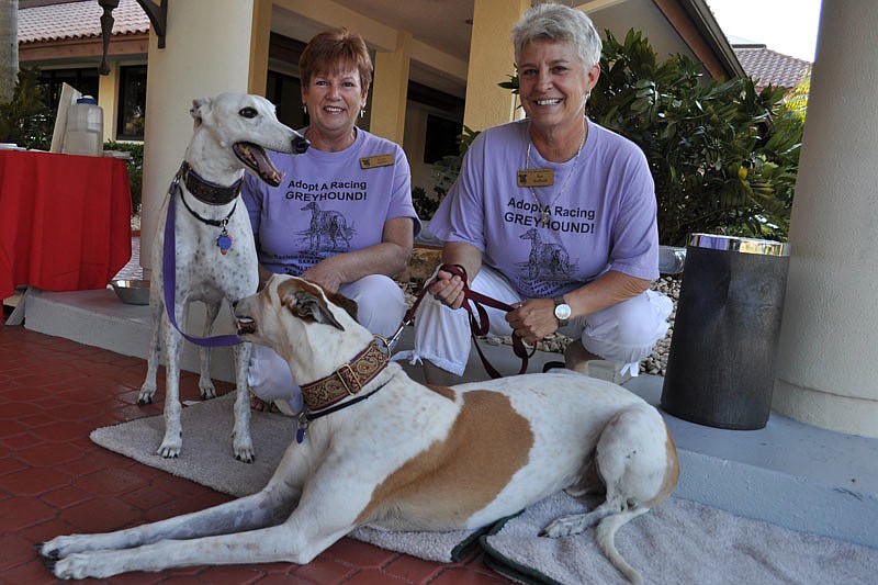 Nancy Quinn and Sue Redfield, with Patty and Bob, welcomed guests.