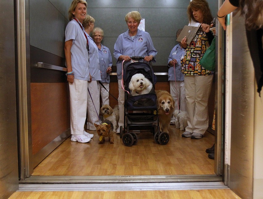 The owners and the dogs get ready to get off the elevator inside Sarasota Memorial Hospital.
