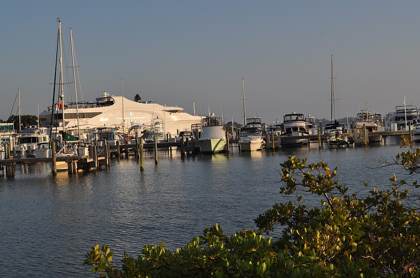 Seafair on Sarasota Bay