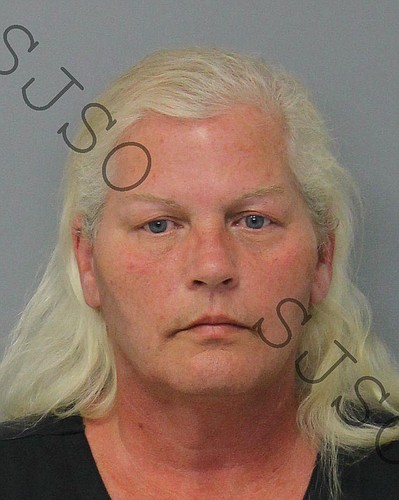 Dorothy Calista Singer was arrested on State Road A1A in St. Johns County May 9. (Photo courtesy of the Flagler County Sheriff'    s Office.)