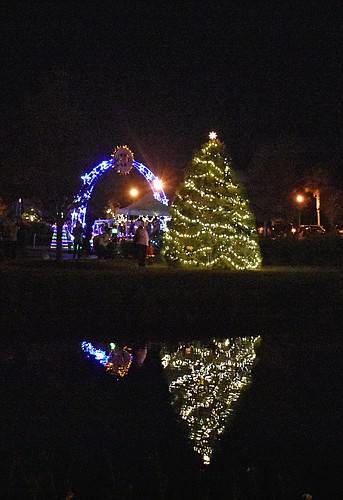 Last year's Palm Coast tree and light display at the Fantasy Lights Festival are reflected in the lake at Central Park. Photo courtesy of Cindi Lane