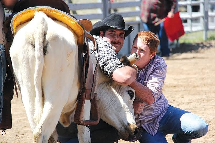 Dylan Jacobs and Joshua (Sury) Vandenbergh with a steer at last year's Cracker Day. File photo