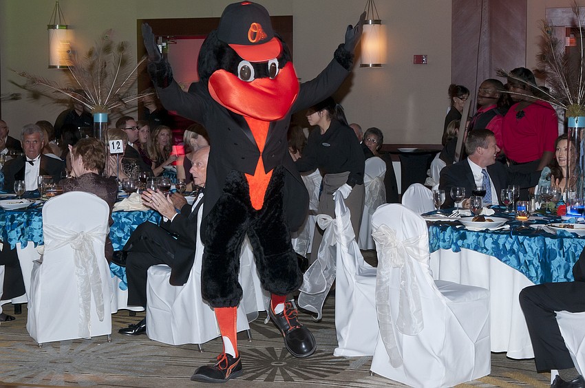 The Orioles Bird