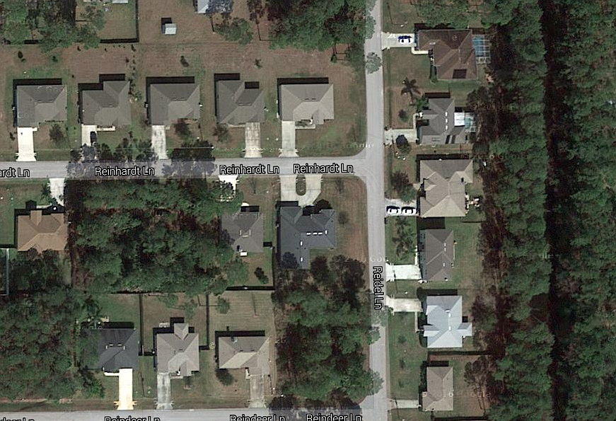 The homes at Reidel Lane back up against a woodline (Image from Google Maps)