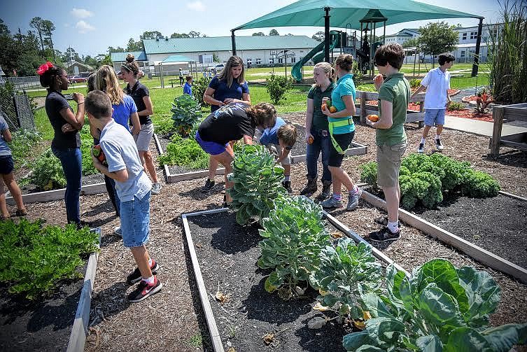 Bunnell Elementary's garden is a Golden Shovel winner for 'Best Revitalized Garden.' Courtesy photo
