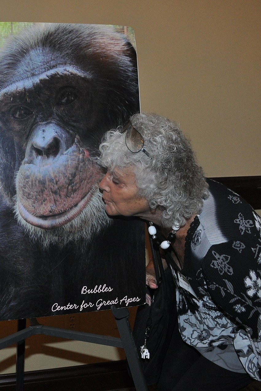 Janet Hunter plants one on photo of Bubbles, Michael Jackson's chimpanzee
