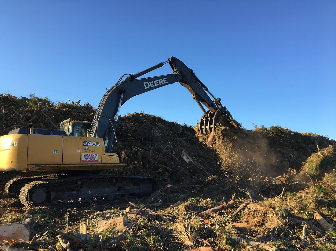 The city of Palm Coast is placing collected storm debris on a city-owned parcel of land on U.S. 1 (Photo by Brian McMilan)