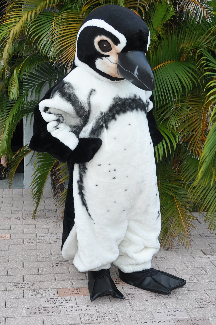 Penguin Person on welcome duty