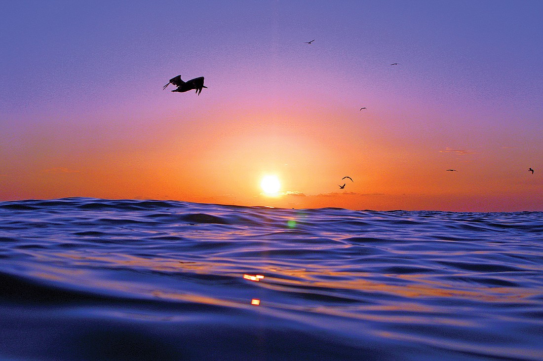 David Johnson submitted this sunset photo, taken on Anna Maria Island.