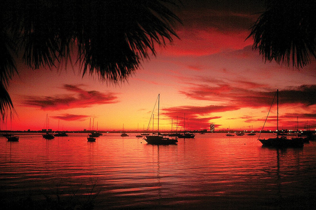 Shirley Maranda submitted this sunset photo, taken near Marina Jack, in downtown Sarasota.