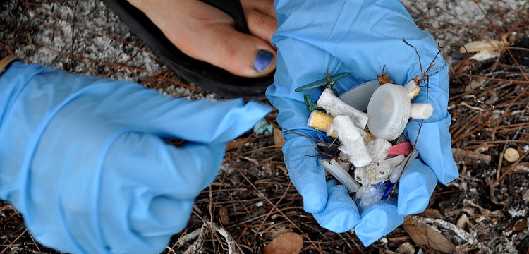 Heather Hooperâ€™s gloved hand full of trash found during the Barefoot Wine Beach Cleanup Thursday, Sept. 8, at Ted Sperling Park.