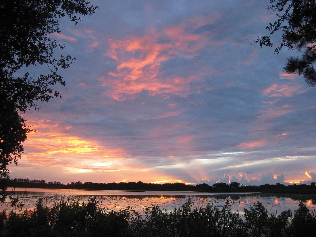 Michele Shields took this sunset photo at Jiggs Landing.